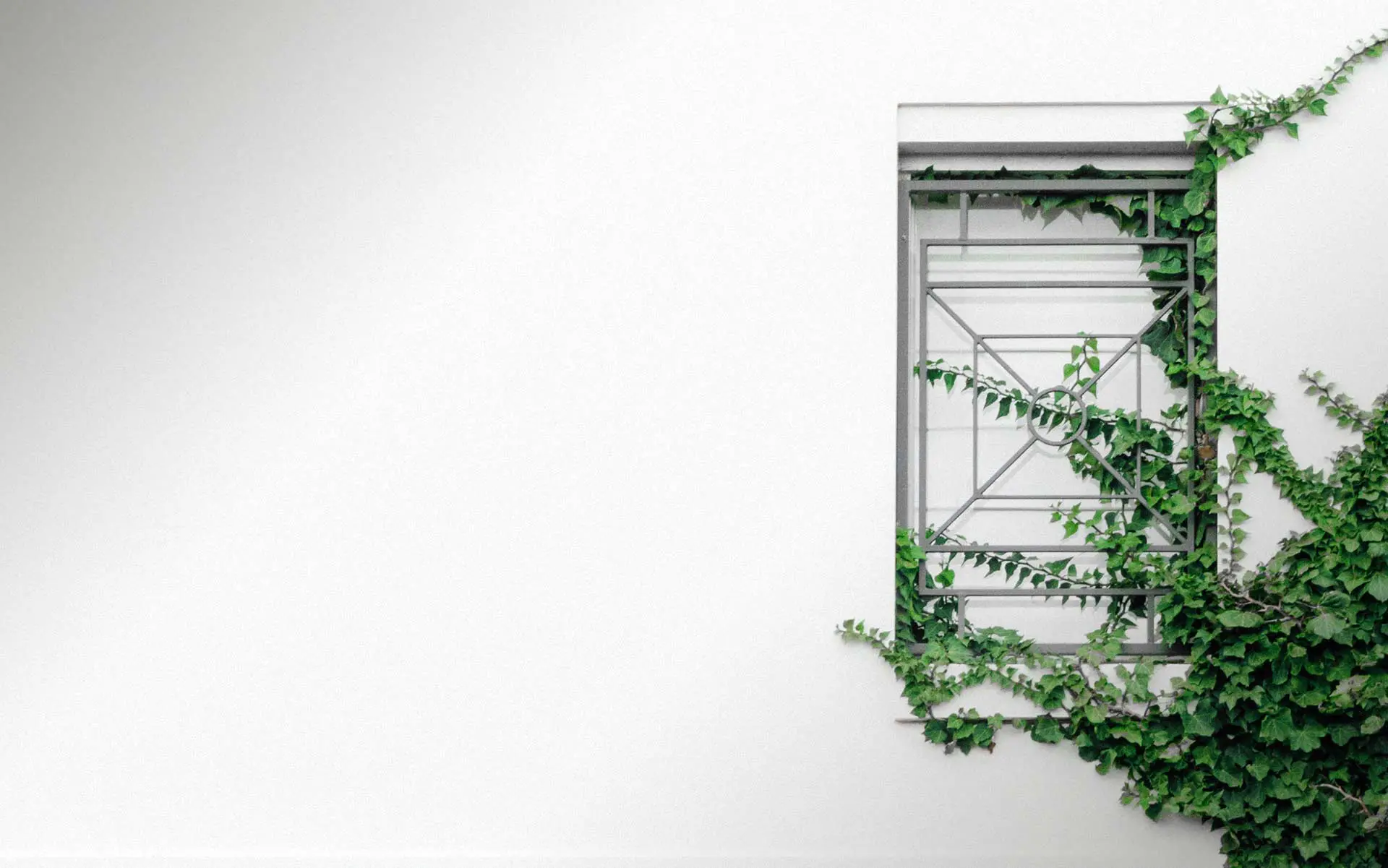 Quattro-blog-design-cover