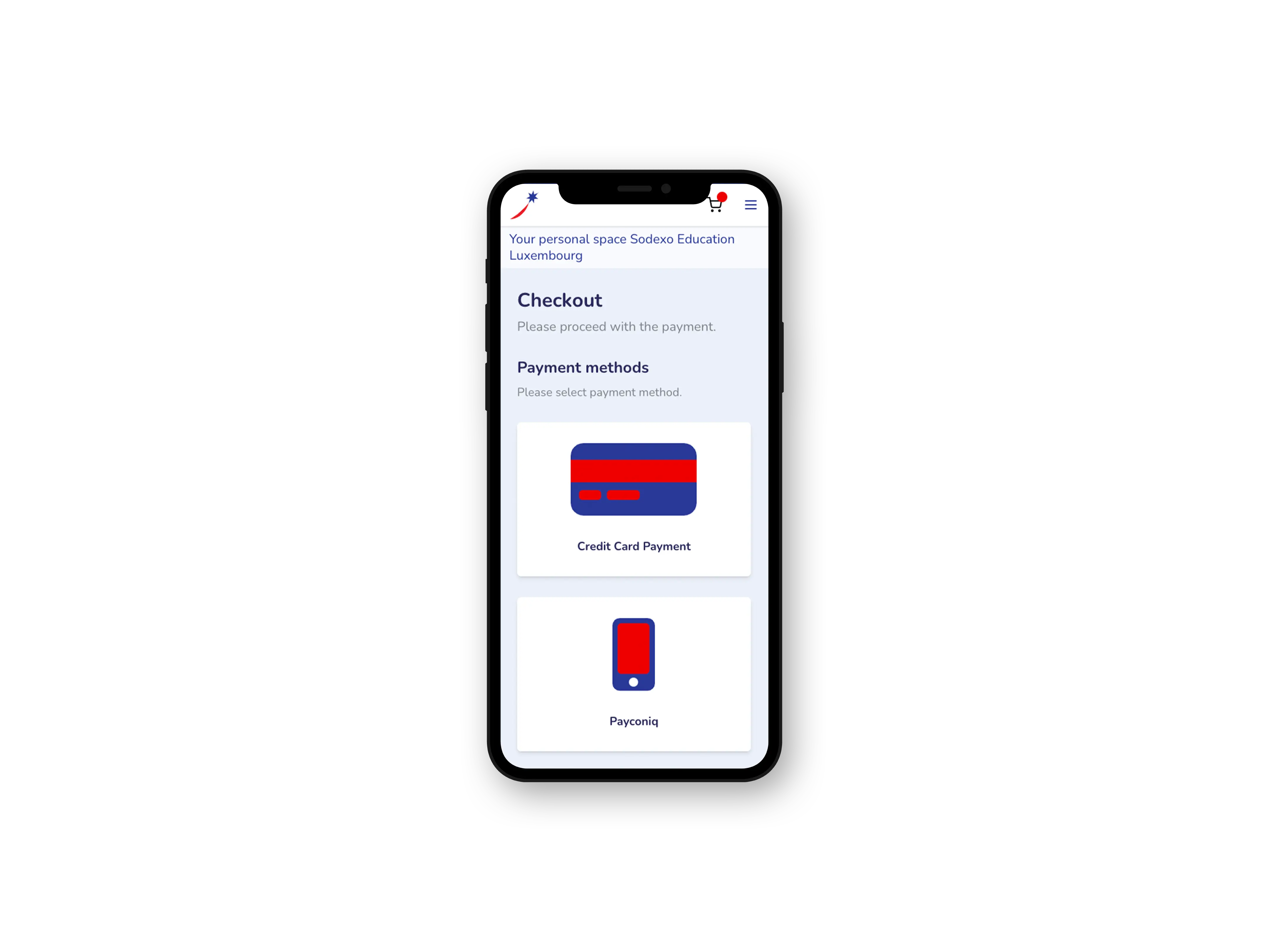 Iphone Mockup_payment