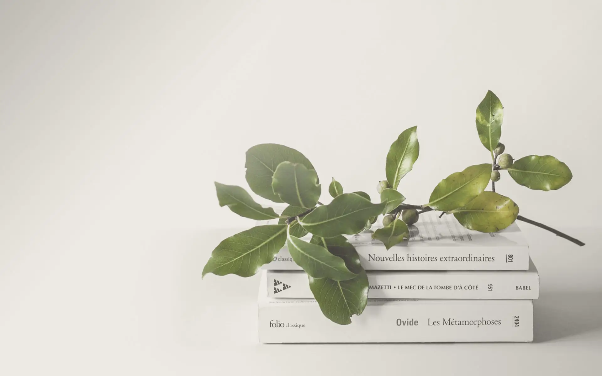 bnl-website-project-highlight-pictures